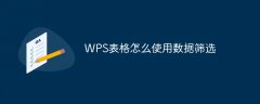 WPS表格怎么使用数据筛选