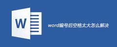 word编号后空格太大的解决方法