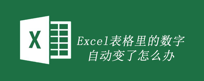 表格里的数字自动变了怎么解决