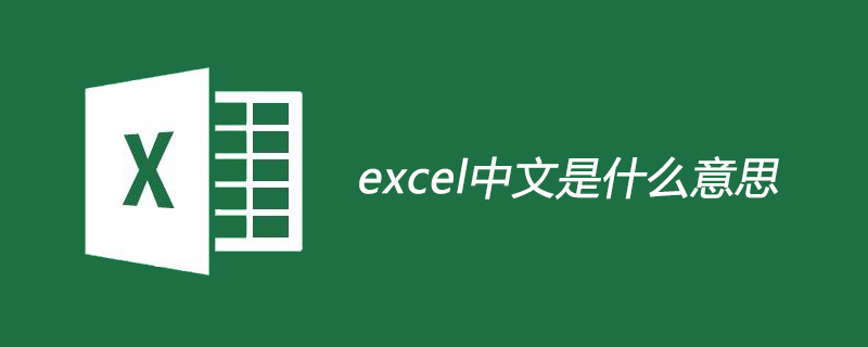 excel中文是什么意思