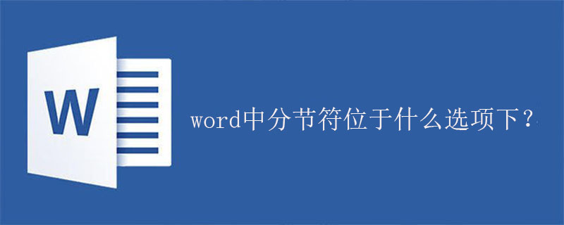 word中分节符位于什么选项下？