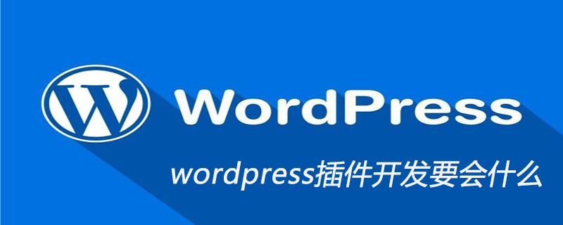 wordpress插件开发要会什么