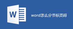 word怎么分节标页码