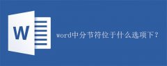 word中分节符位于什么选项下？