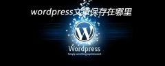 wordpress文章保存在哪里