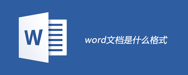 word文档是什么格式