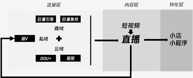 谁，才能成为抖音直播的顶梁柱？