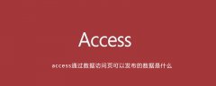 access通过数据访问页可以发布的数据是什么