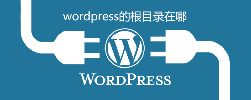 wordpress的根目录在哪