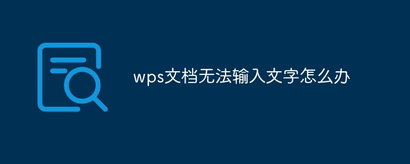 wps文档无法输入文字怎么办