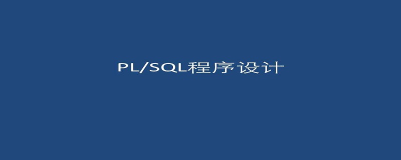 什么是PL/SQL？PL/SQL的体系结构是什么