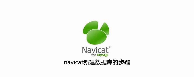 navicat新建数据库的步骤