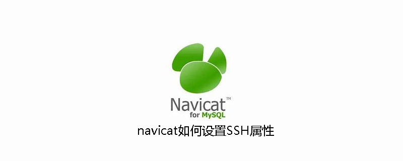 navicat如何设置SSH属性