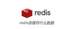 redis该缓存什么数据