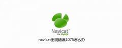 navicat出现错误1075怎么办