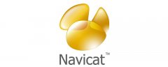 navicat怎么装