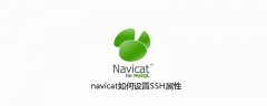 navicat如何设置SSH属性