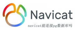 navicat能连接pg数据库吗