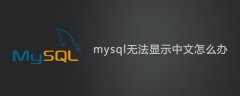 mysql无法显示中文怎么办？