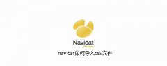 navicat如何导入csv文件