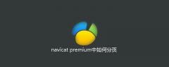 navicat premium中如何分页