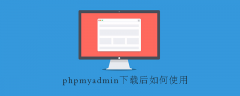 phpmyadmin下载后如何使用