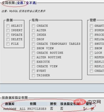 怎么在phpmyadmin上添加用户