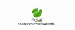 navicat premium中如何设置ssl属性