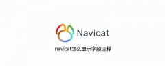 navicat怎么显示字段注释