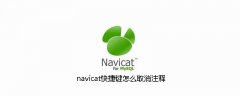 navicat快捷键怎么取消注释