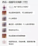 单条视频播放量4千万，涨粉13万，引流6800人，英语类视频号如何