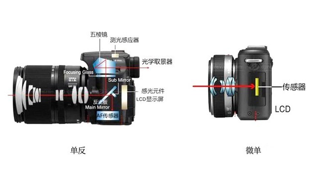 1003单电相机和微单的区别（单反与微单相机最详报价）