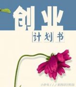 大学生创业计划书格式要求（教你写创业计划书）