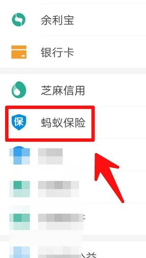 支付宝蚂蚁保险电子保单怎么弄？在哪找到电子保单？