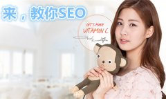  百度seo优化公司(上海seo网络优化)