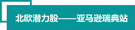 来了！亚马逊瑞典站掘金通道正式开启！全球更广生意等你来!