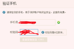 为什么支付宝邮箱注册会显示异常？哪里不对？