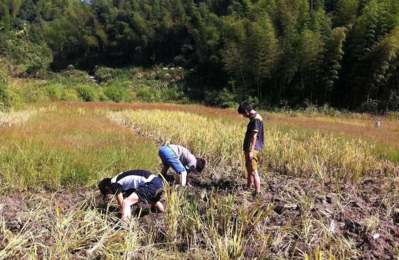 汽车销量下降，人们不愿买车的背后，其实是真的“养不起”