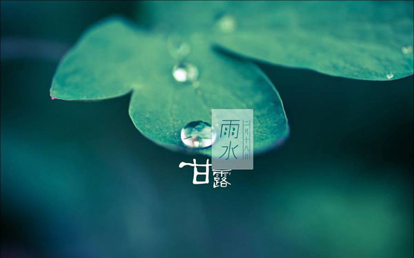 雨水节气一定下雨吗