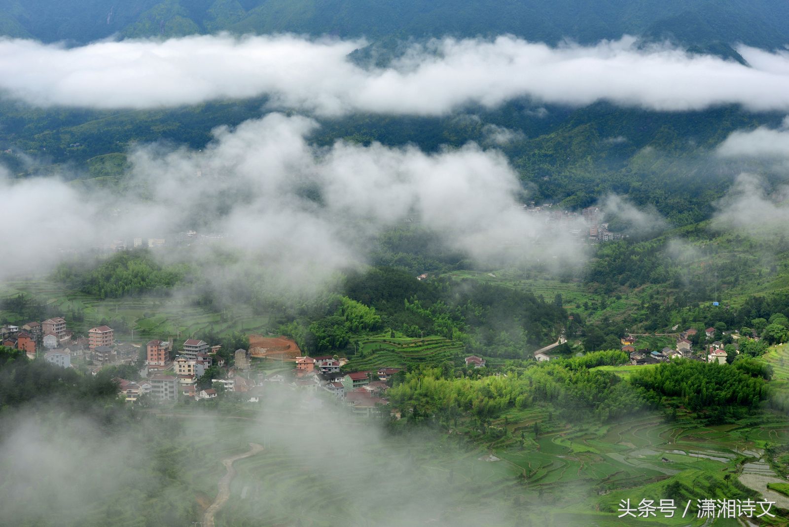 形容雨后青山诗句有哪些（雨后青山诗文赏析和诗意）