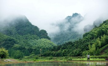 形容雨后青山诗句有哪些（雨后青山诗文赏析和诗意）