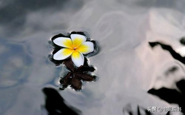 落花流水春去也全诗（落花古诗内容和诗意解说）