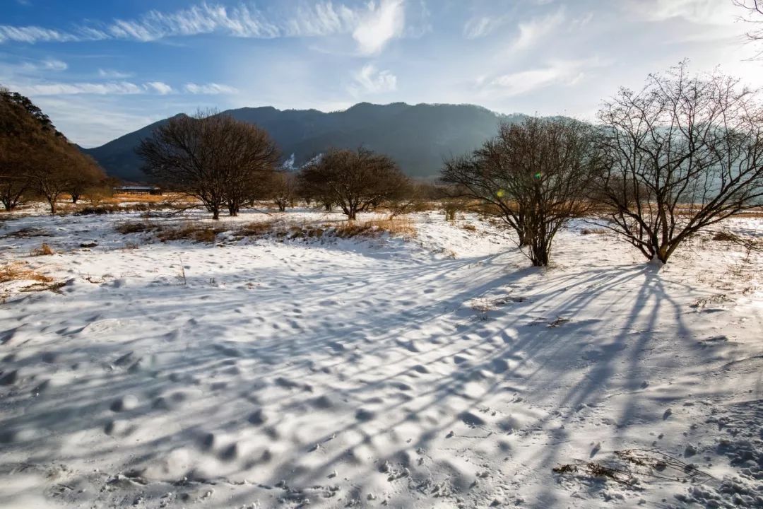 雪的古诗有哪些（写出雪花飘落之美的20首唯美古诗）