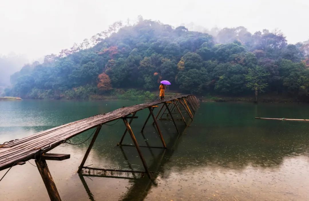 有关雨的古诗有哪些（描写雨后美景的20首唯美古诗词）