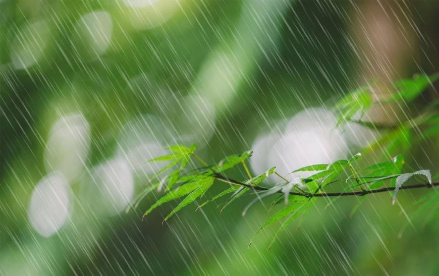 写雨的诗歌有哪些（关于写雨的诗10首）