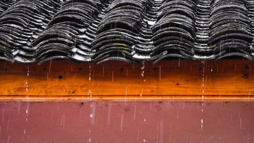 写雨的诗歌有哪些（关于写雨的诗10首）