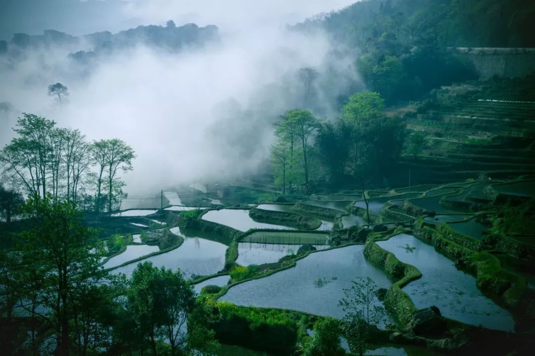 哲理的诗句有哪些（富有哲理又唯美的句子）