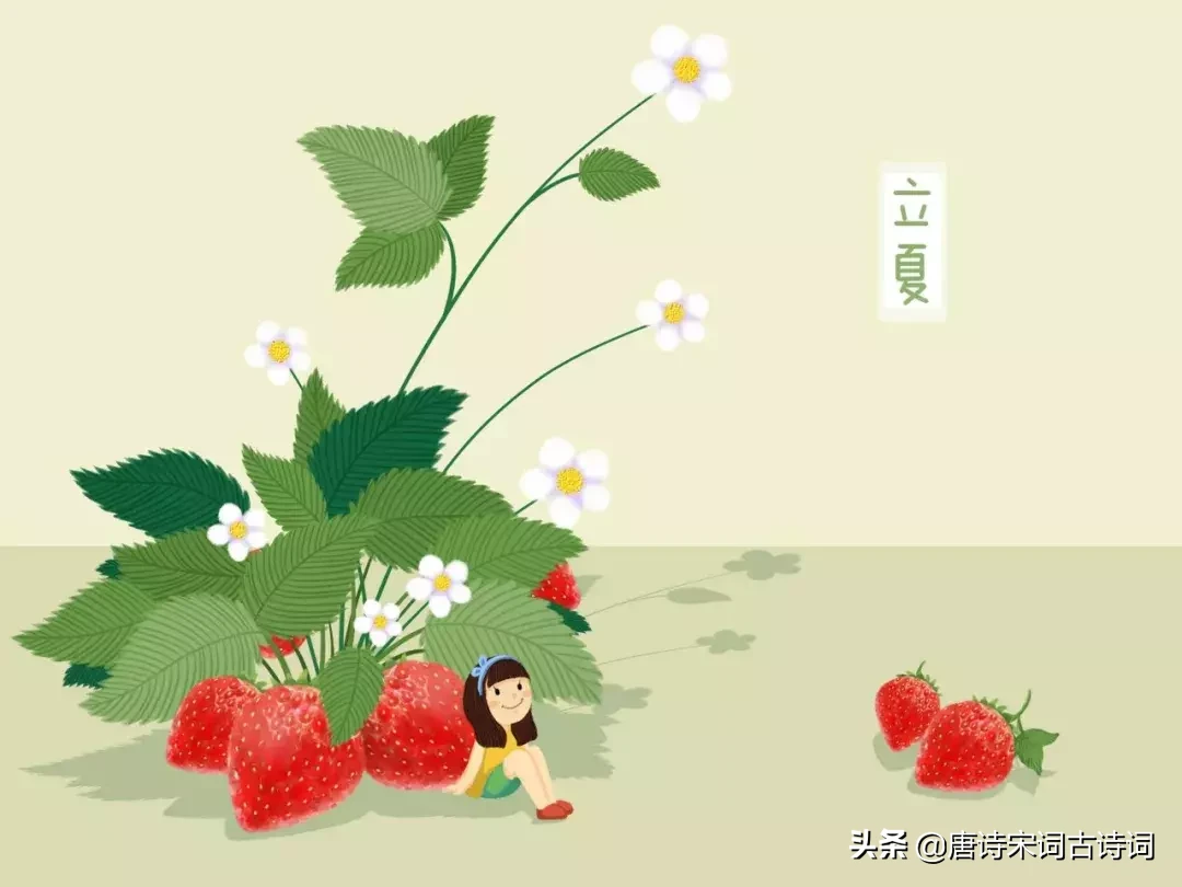 关于夏季的诗句（描写炎热夏天的诗句）