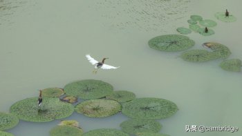 致友谊的唯美句子英文（描写友谊的英文名言名句）