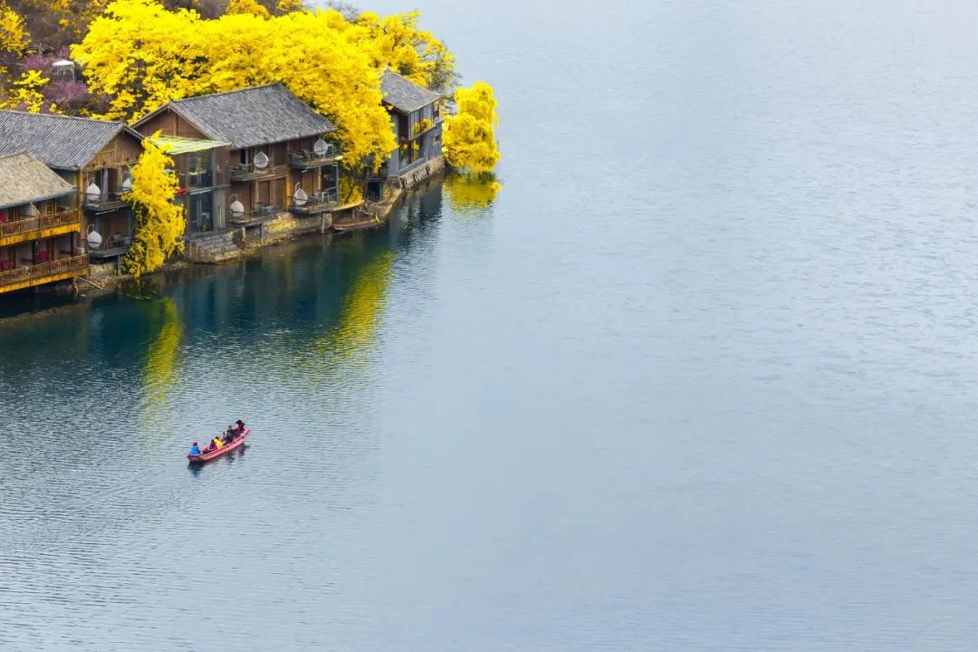 夏天景色的诗句有哪些（关于描写夏天景色的诗）